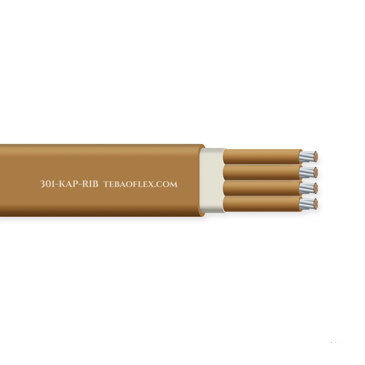301-KAP-RIB — horizontal cutaway