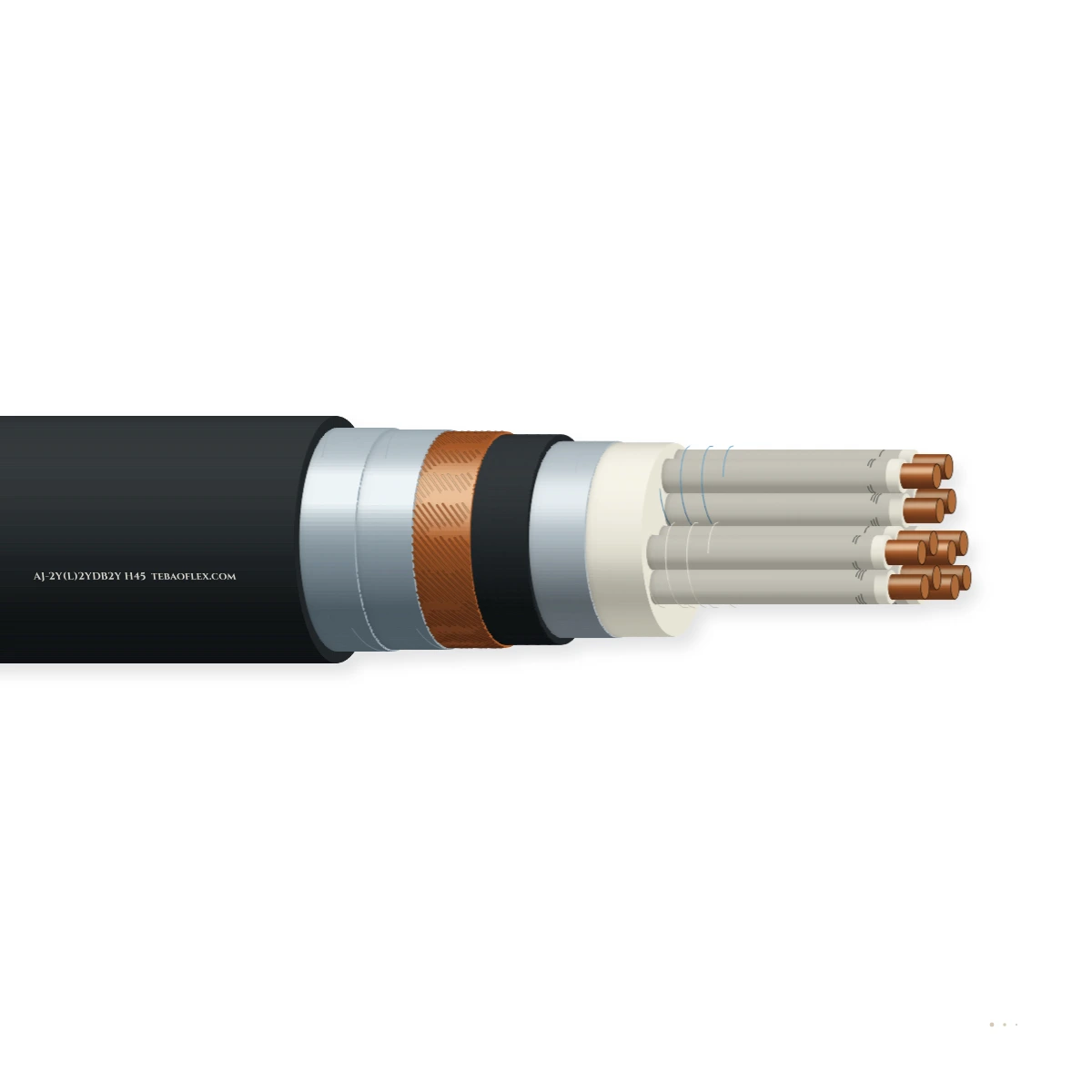 AJ-2Y(L)2YDB2Y H45 — horizontal cutaway