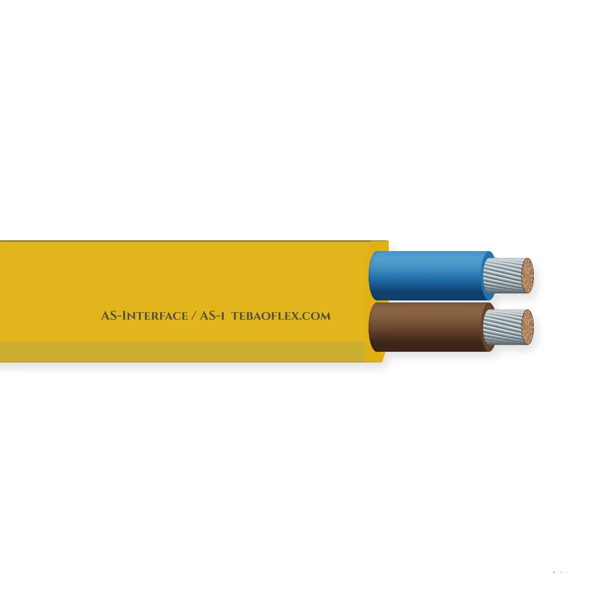 AS-Interface / AS-i — horizontal cutaway