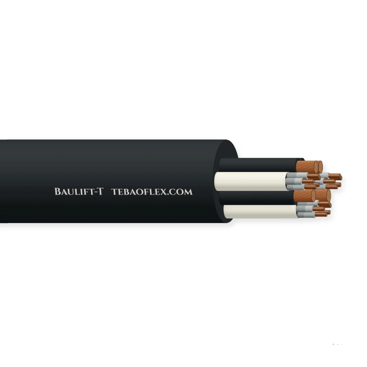Baulift-T / -W — horizontal cutaway