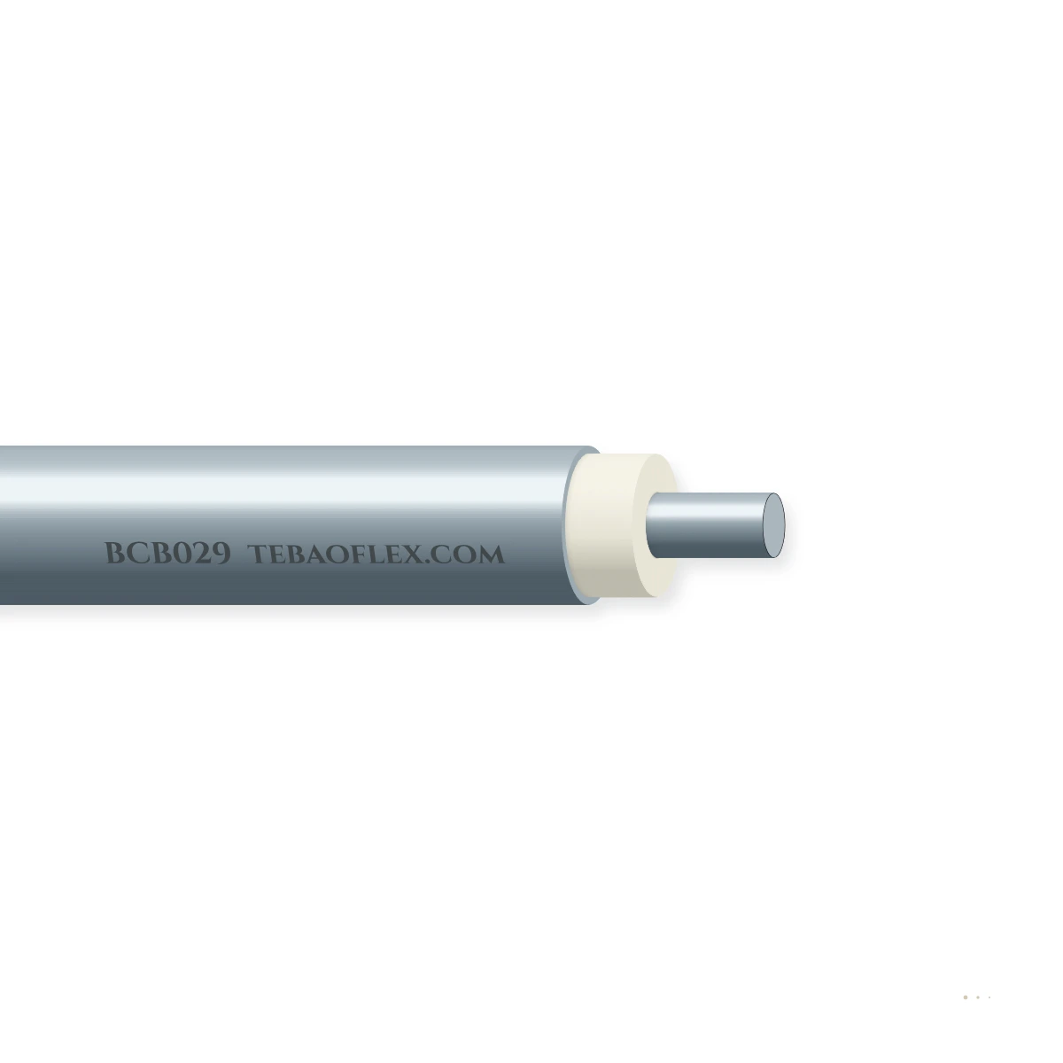 BCB029 — horizontal cutaway