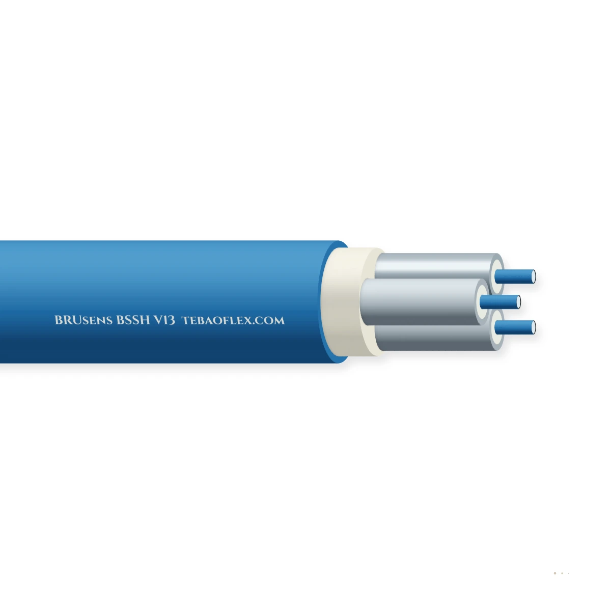 BRUsens BSSH V13 — horizontal cutaway