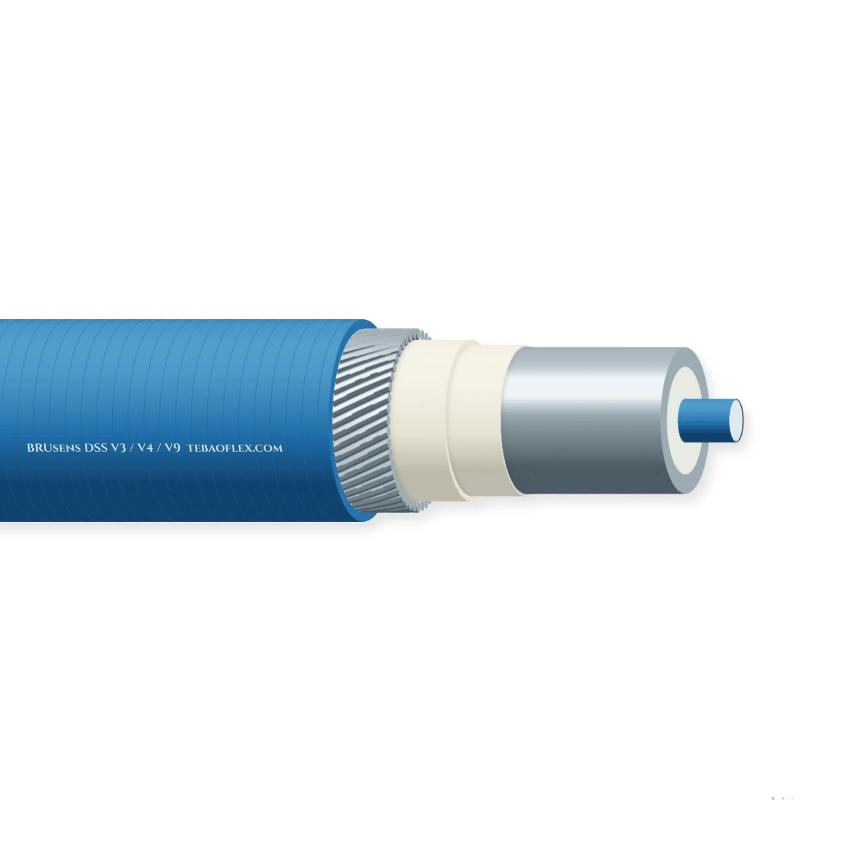 BRUsens DSS V3 / V4 / V9 — horizontal cutaway