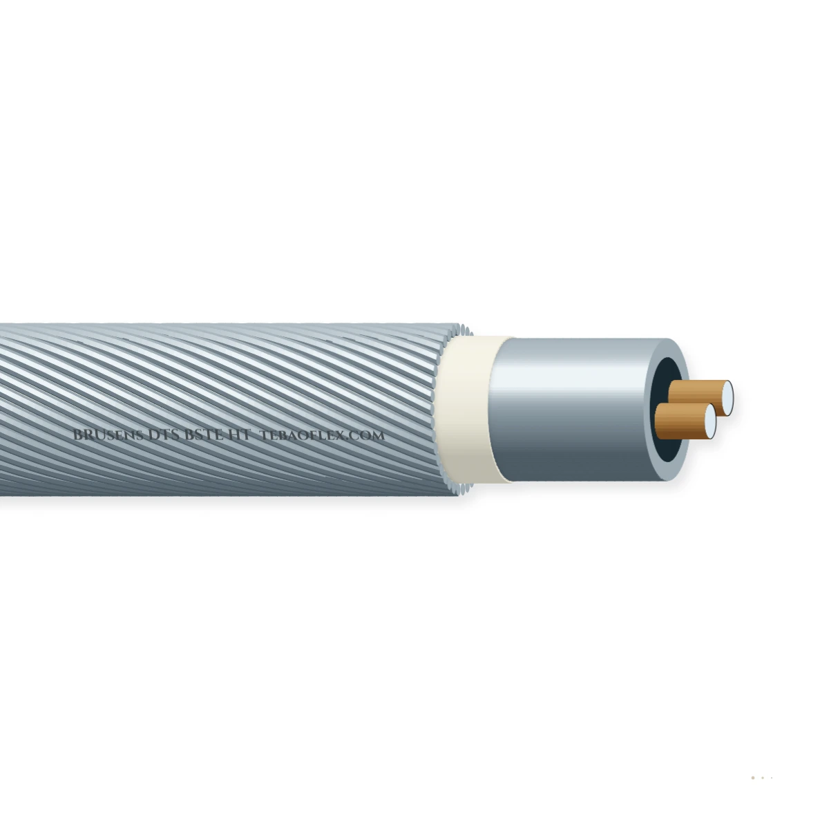 BRUsens DTS BSTE HT — horizontal cutaway