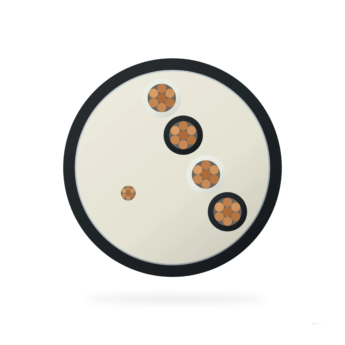 BS 5308 Part 2 Type 1 — cable cross-section
