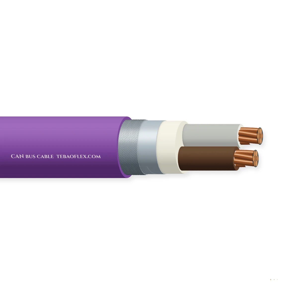 CAN bus cable — horizontal cutaway