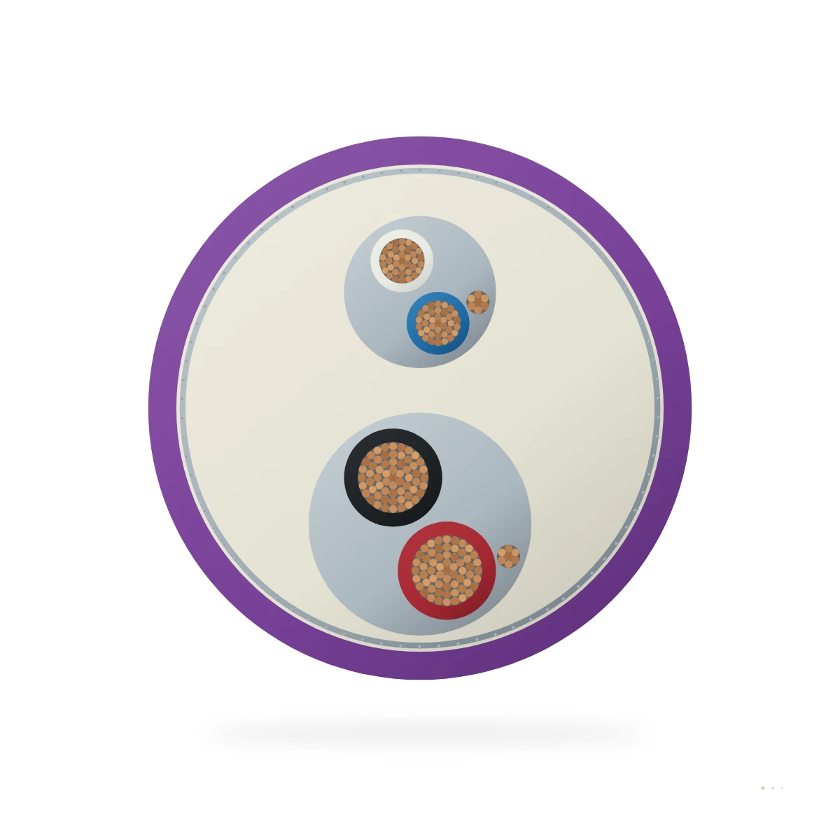 DeviceNet — cable cross-section