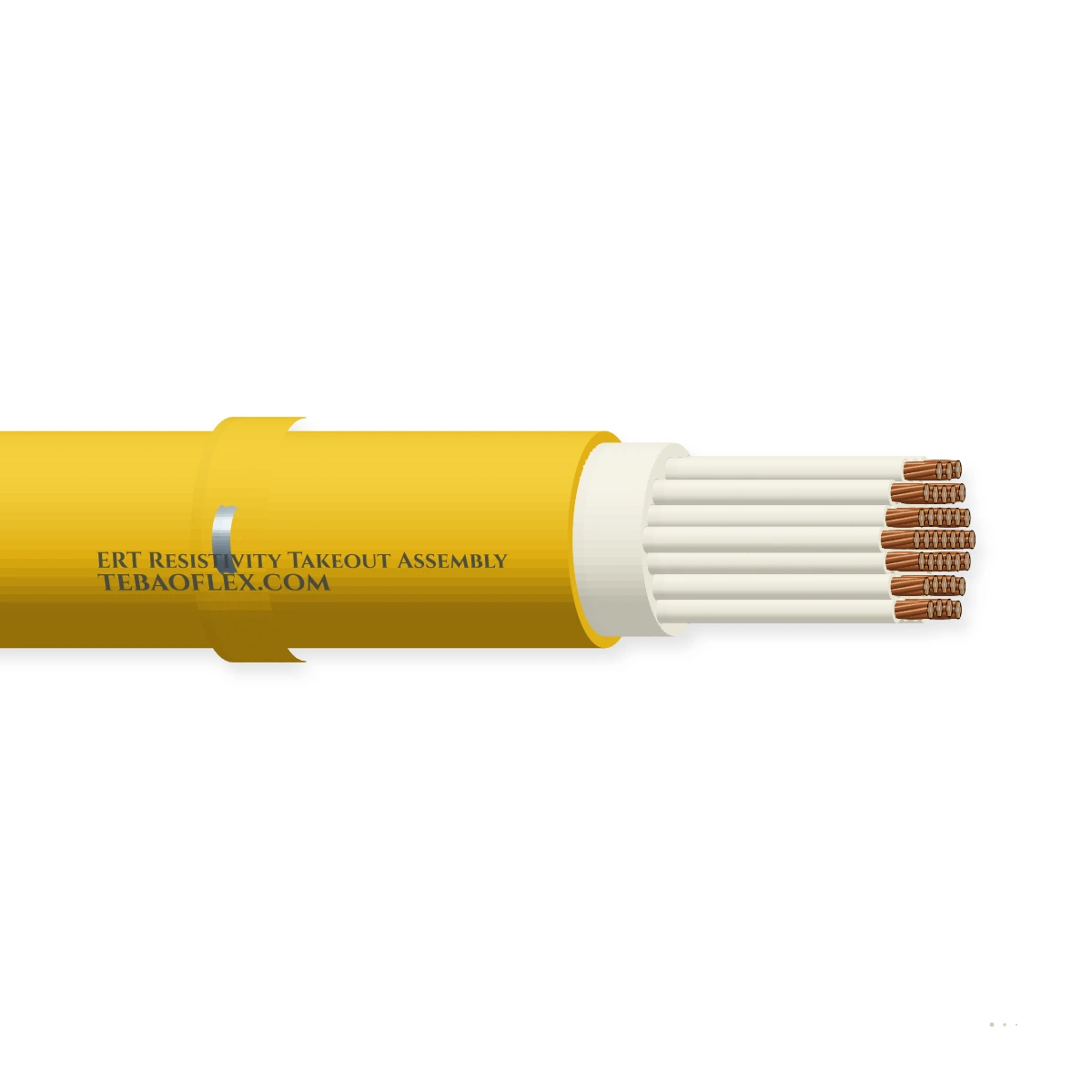 ERT Resistivity Takeout Assembly ERT Resistivity Takeout Conjunto – vista lateral