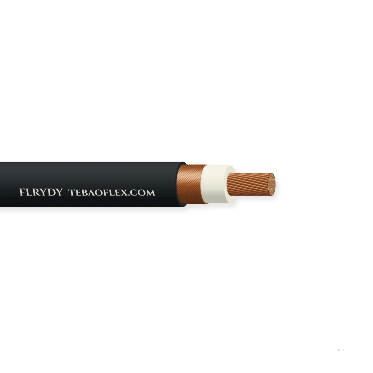 FLRYDY — horizontal cutaway