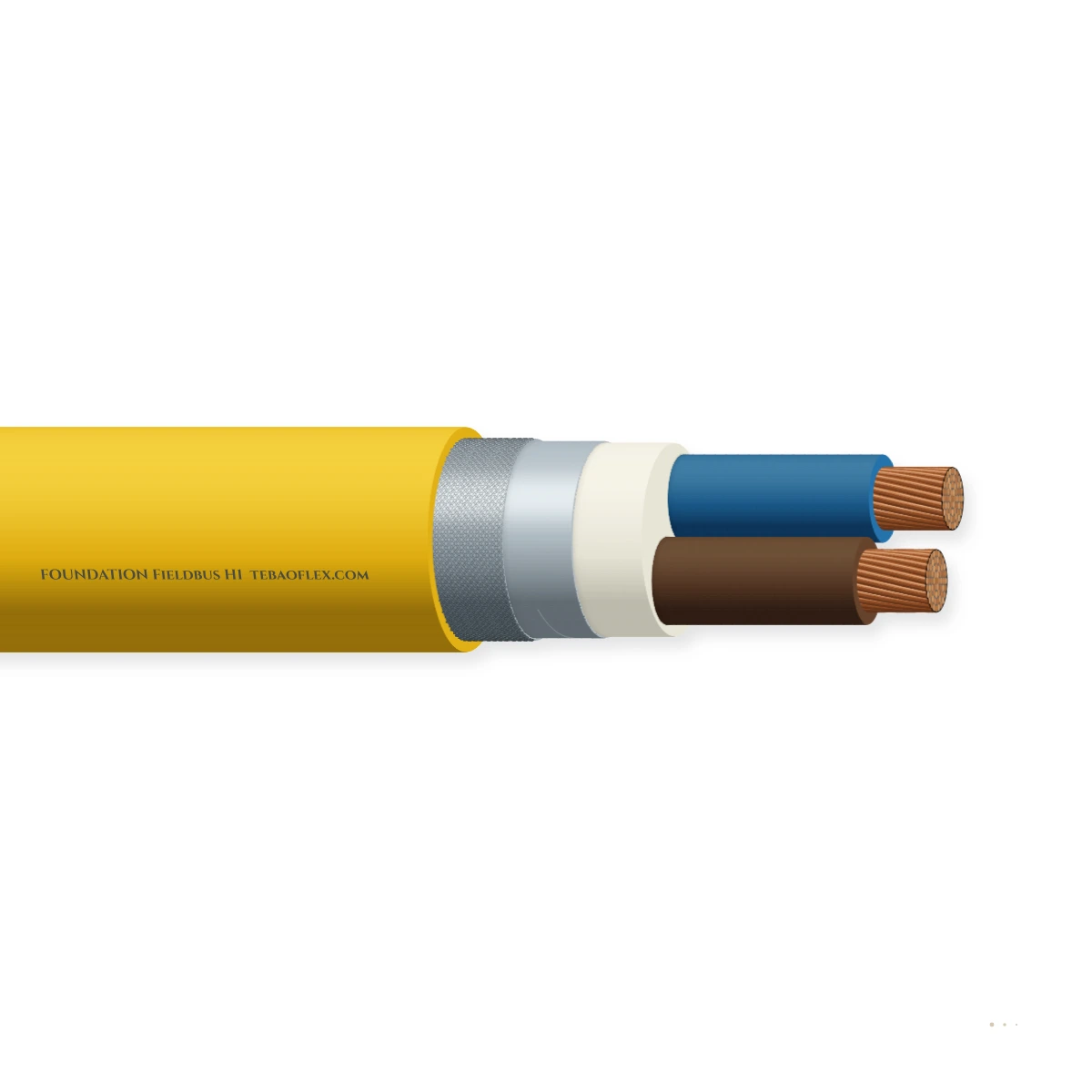 FOUNDATION Fieldbus H1 — horizontal cutaway