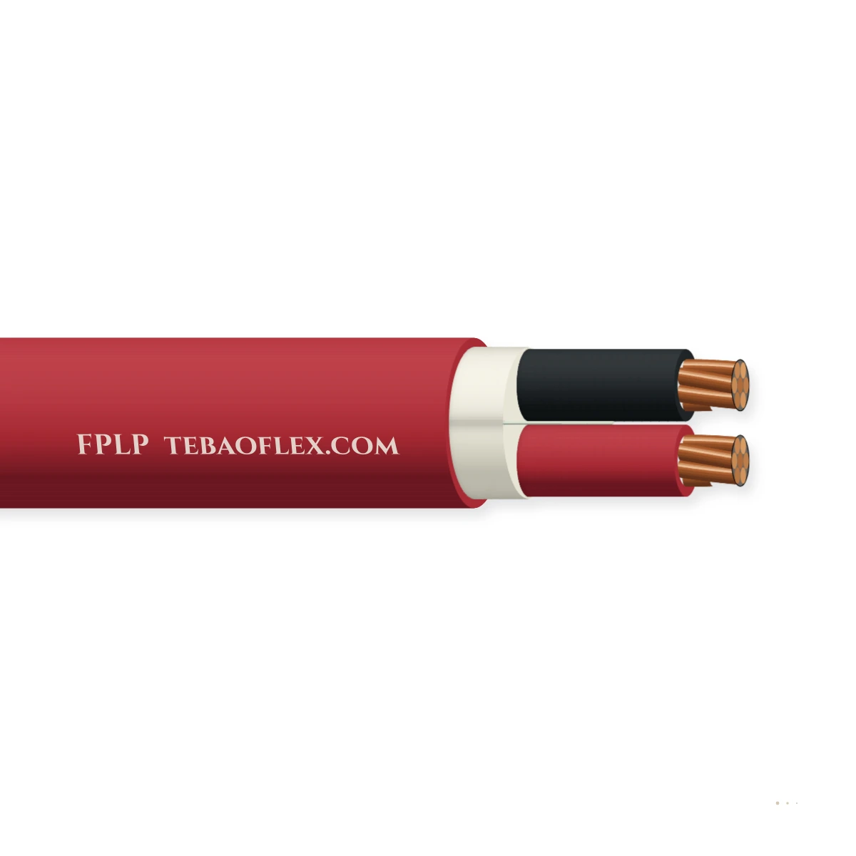 FPLP — horizontal cutaway
