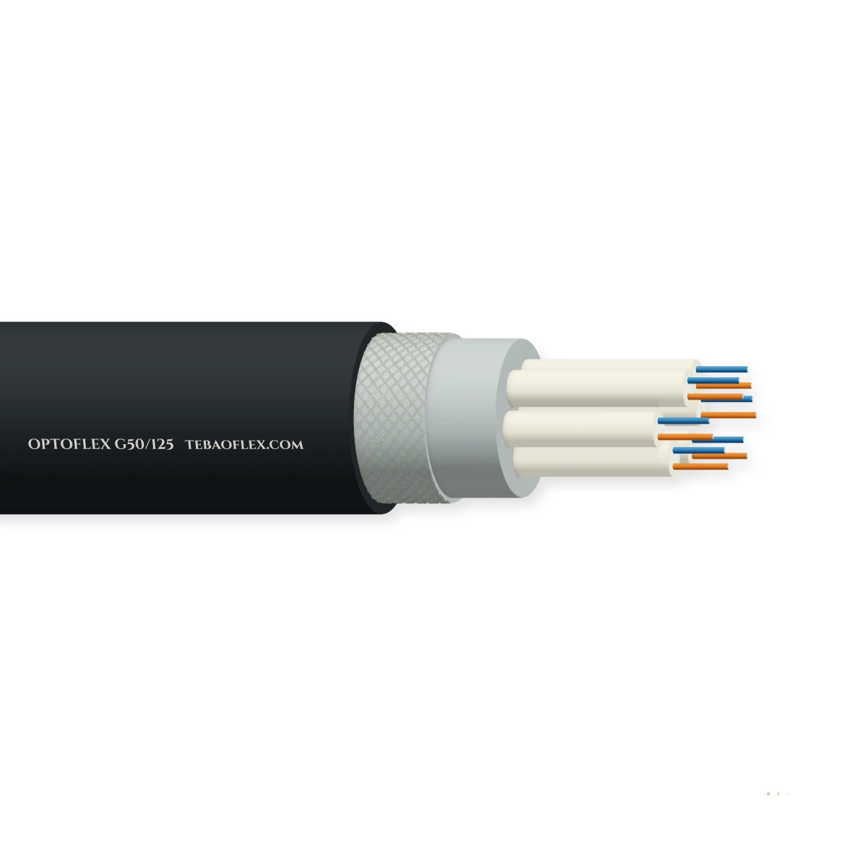 G62.5/G50/E9 FO — horizontal cutaway