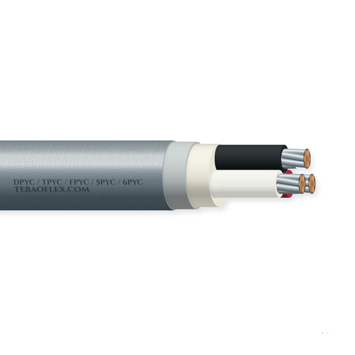 DPYC / TPYC / FPYC / 5PYC / 6PYC — horizontal cutaway