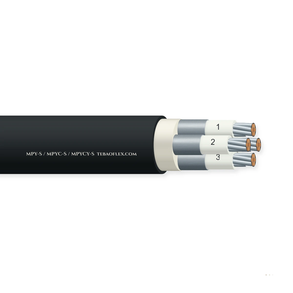 MPY-S / MPYC-S / MPYCY-S — horizontal cutaway