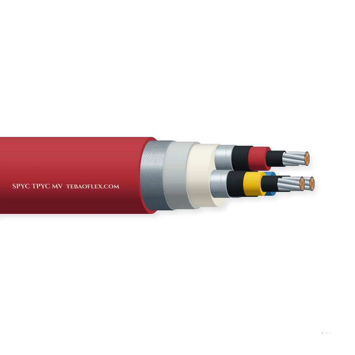 SPYC / SPYCB / TPYC — horizontal cutaway