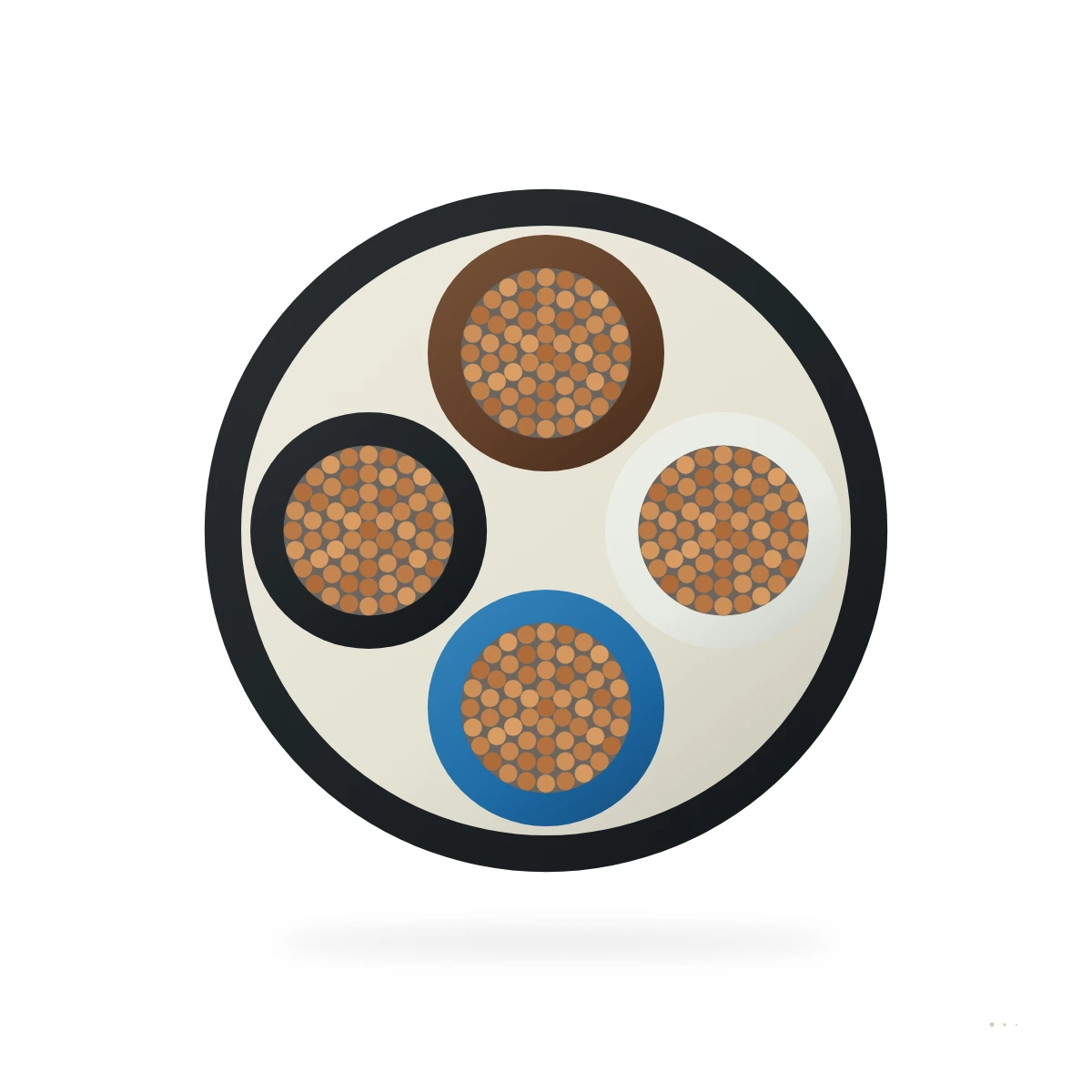 M12 A-coded — cable cross-section