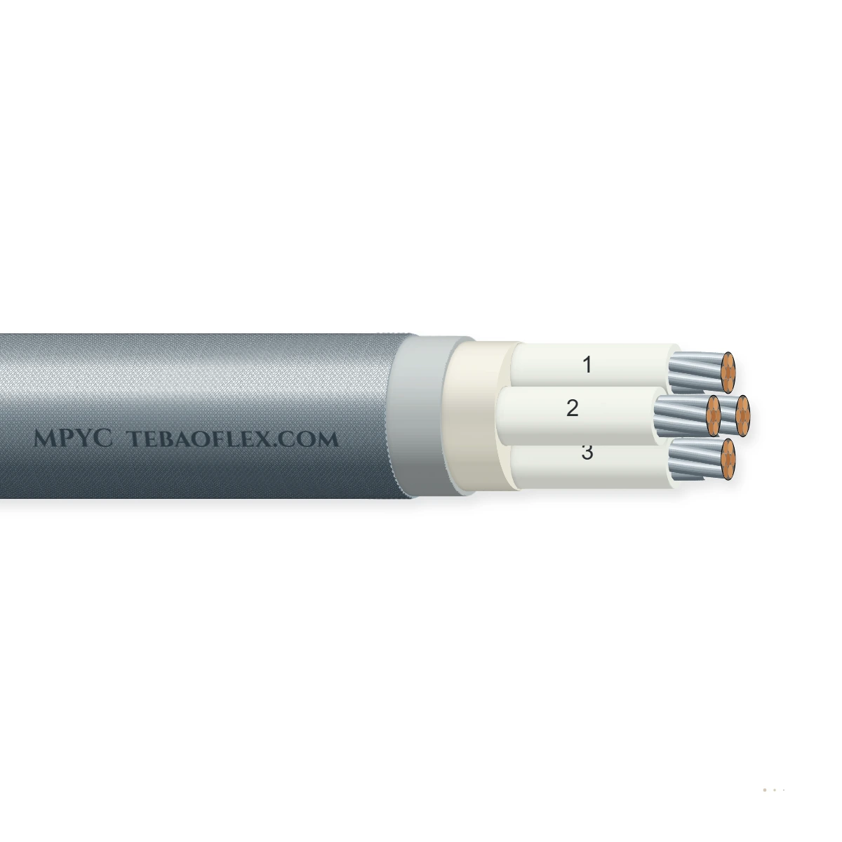 MPYC — horizontal cutaway