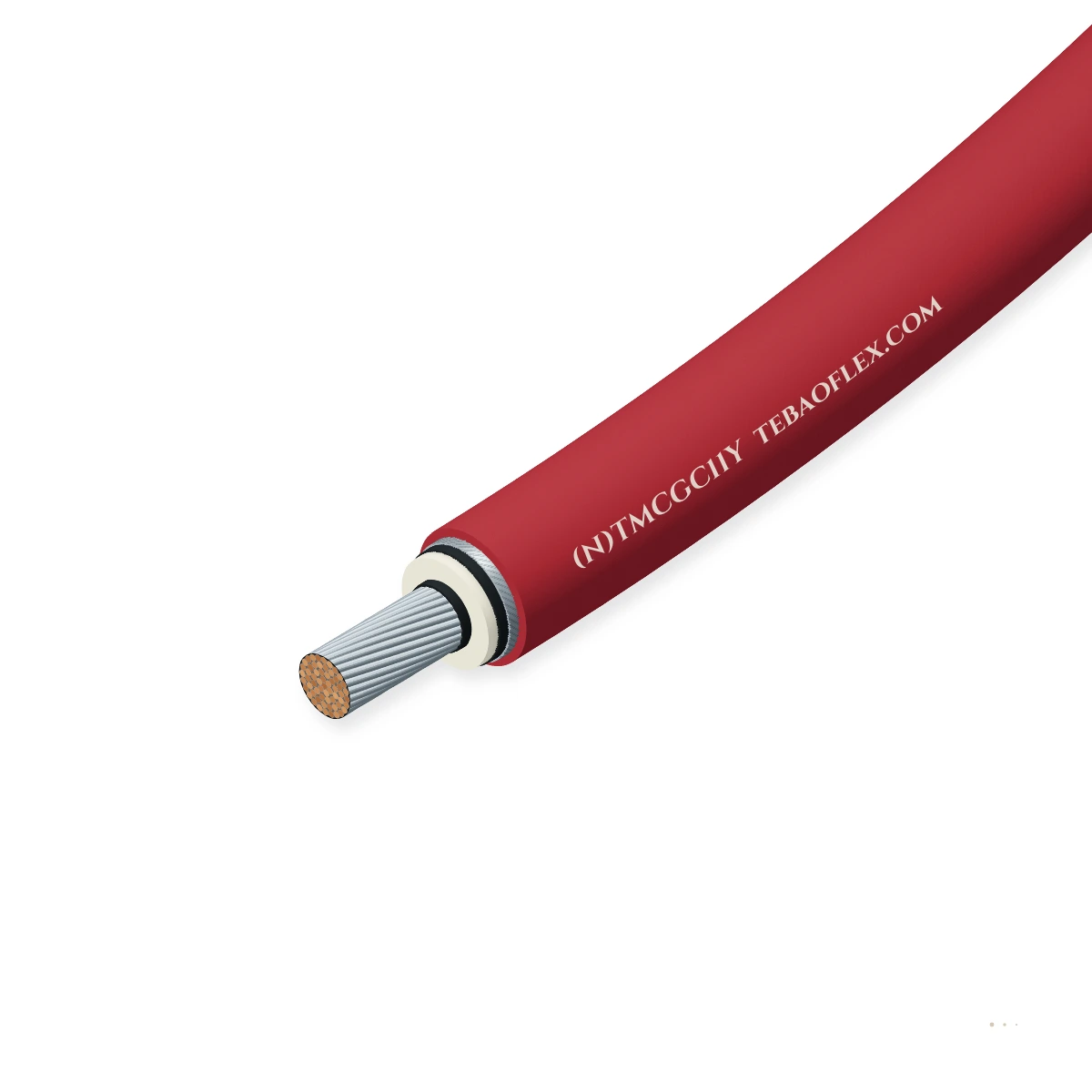 (N)TMCGC11Y — Producto