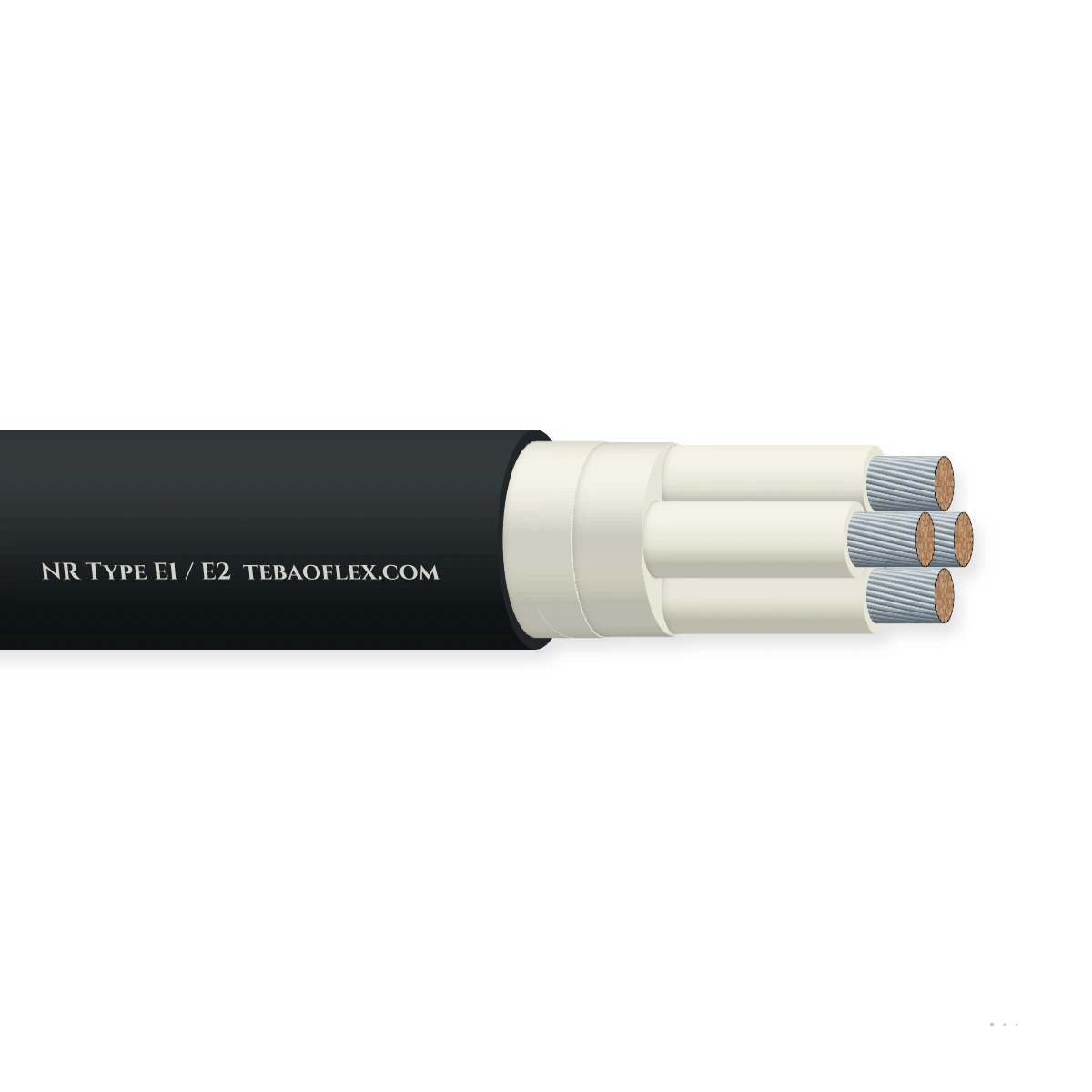 NR/PS/SIG/00005 Type E1 / E2 — horizontal cutaway