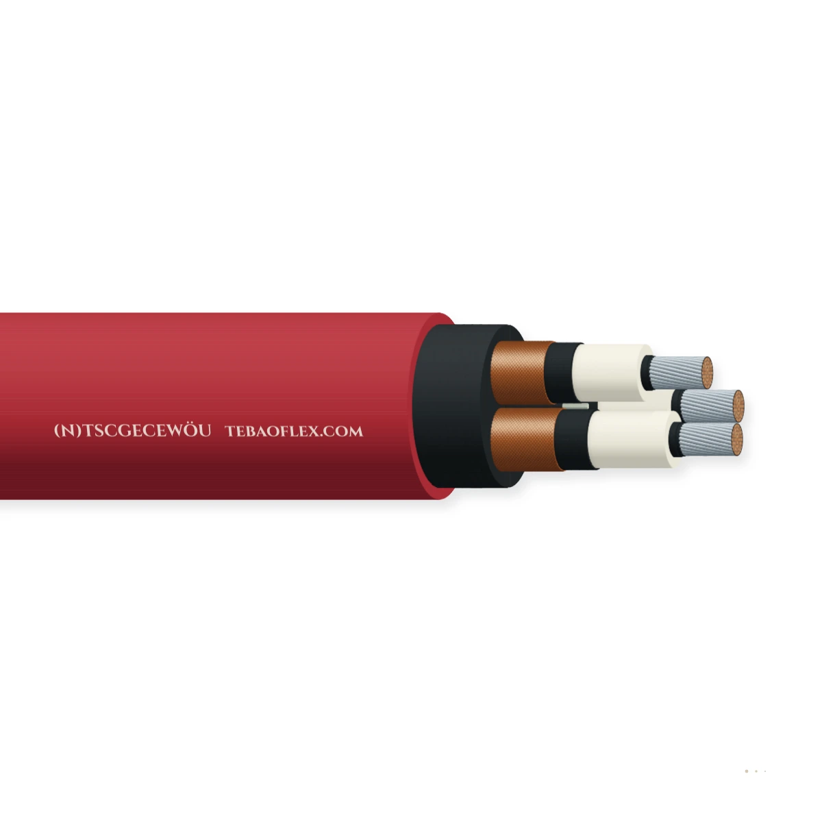 (N)TSCGECEWÖU — horizontal cutaway