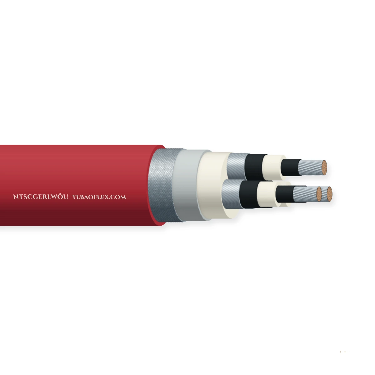 NTSCGERLWÖU Armado Sumergible-Bomba Cable – vista lateral