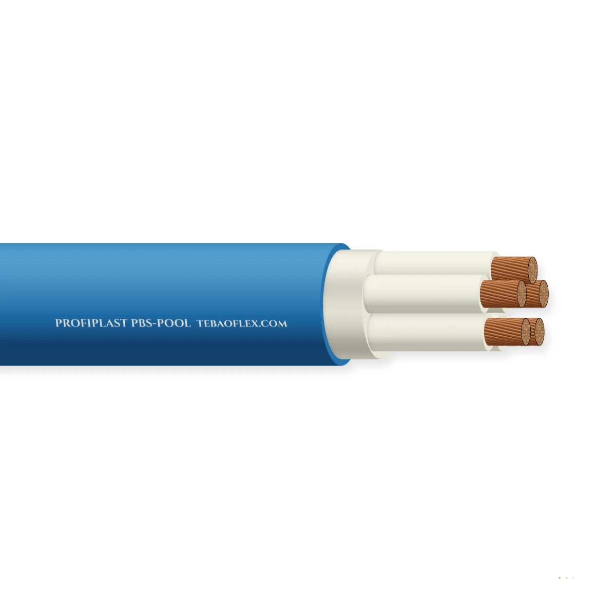 PBS-POOL — horizontal cutaway