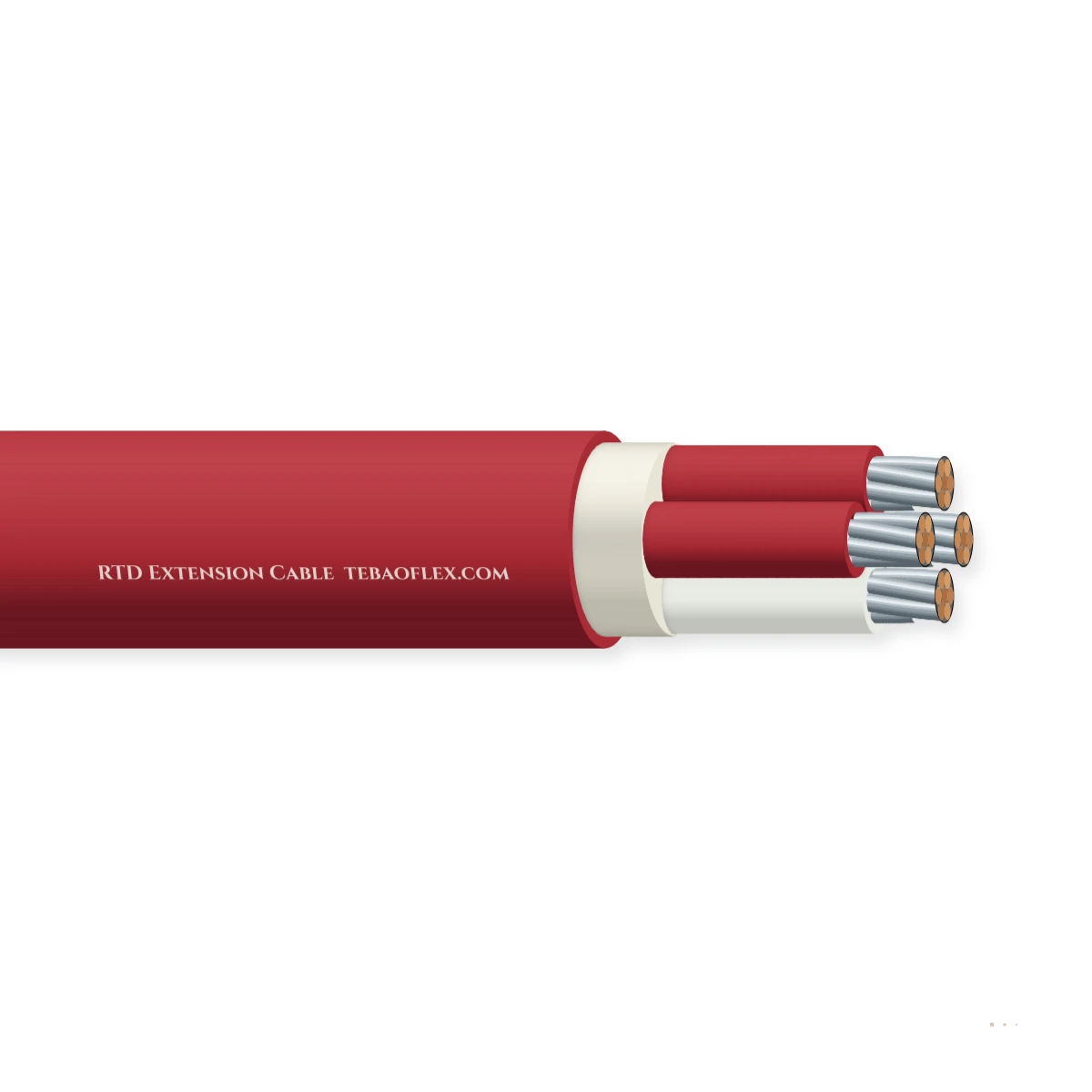 Modelo RTD Extension Cable – vista lateral
