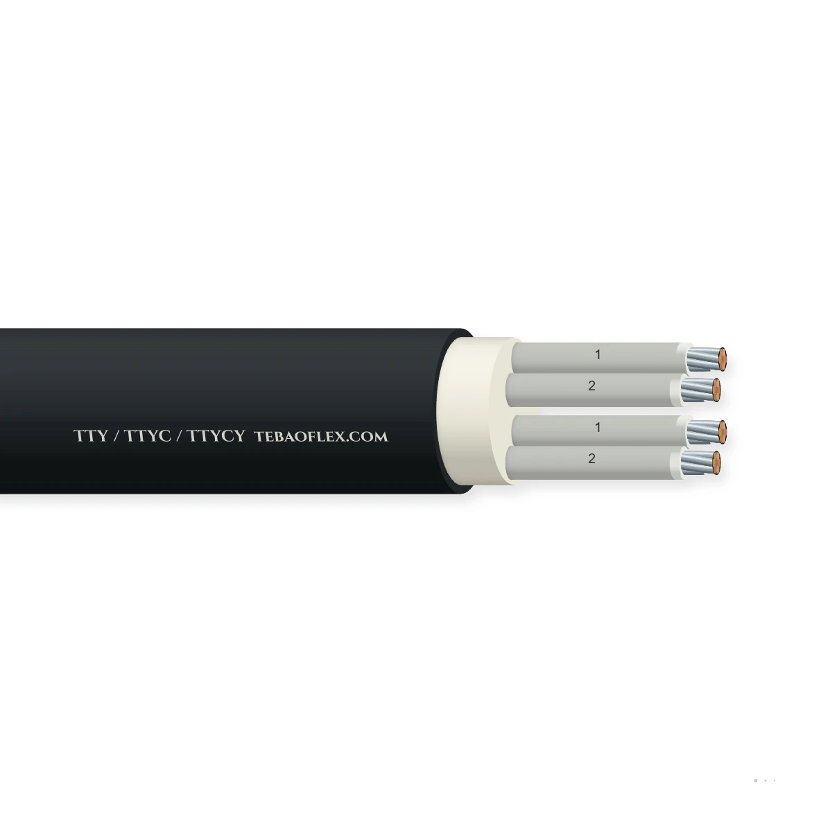 TTY / TTYC / TTYCY — horizontal cutaway