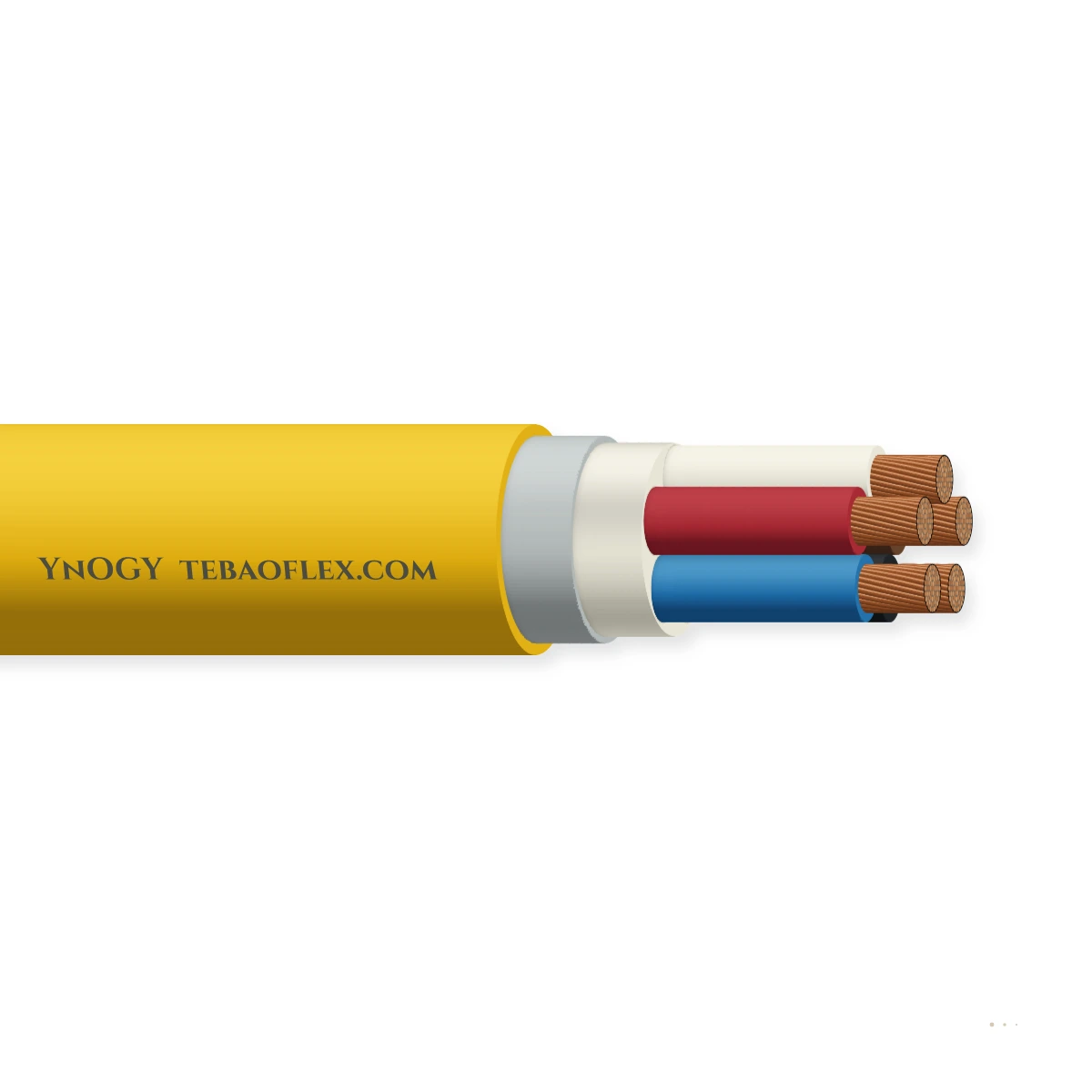 YnOGY — horizontal cutaway